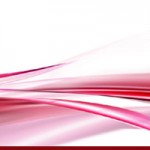 Оптовая поставка тюльпанов: топ сортов, которые долго не вянут
