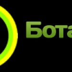 Продажа семян оптом: ТОП-5 сортов, которые быстро раскупают в розницу