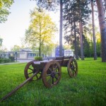 Хороший отдых в Подмосковье в праздники: 3 парк-отеля для семейных каникул