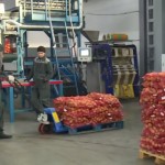 Составляем бизнес-план овощехранилища: поднимаем вопросы о продуктивности