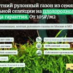 Аккуратный участок за 2–3 дня: плюсы рулонного газона под ключ