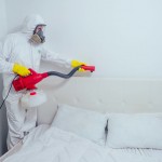 Безопасность прежде всего: что входит в санитарную обработку жилья