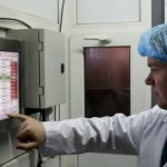Бизнес-план убойного цеха на 30 голов КРС в смену.