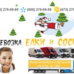 Перевезти елку (сосну) Киев