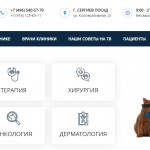 Профилактика заболеваний домашнего животного: зачем ходить к ветеринару
