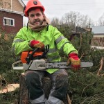Во сколько обойдется очистка земли от пней и деревьев: считаем цену Во сколько обойдется очистка земли от пней и деревьев: считаем цену