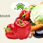 У кого покупать продукты питания оптом: нюансы выбора производителя У кого покупать продукты питания оптом: нюансы выбора производителя