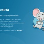 Выходим во всемирную паутину: виды хостингов и основные тонкости Выходим во всемирную паутину: виды хостингов и основные тонкости